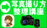 ʐ^Eʐ^BEʐ^uoi[摜